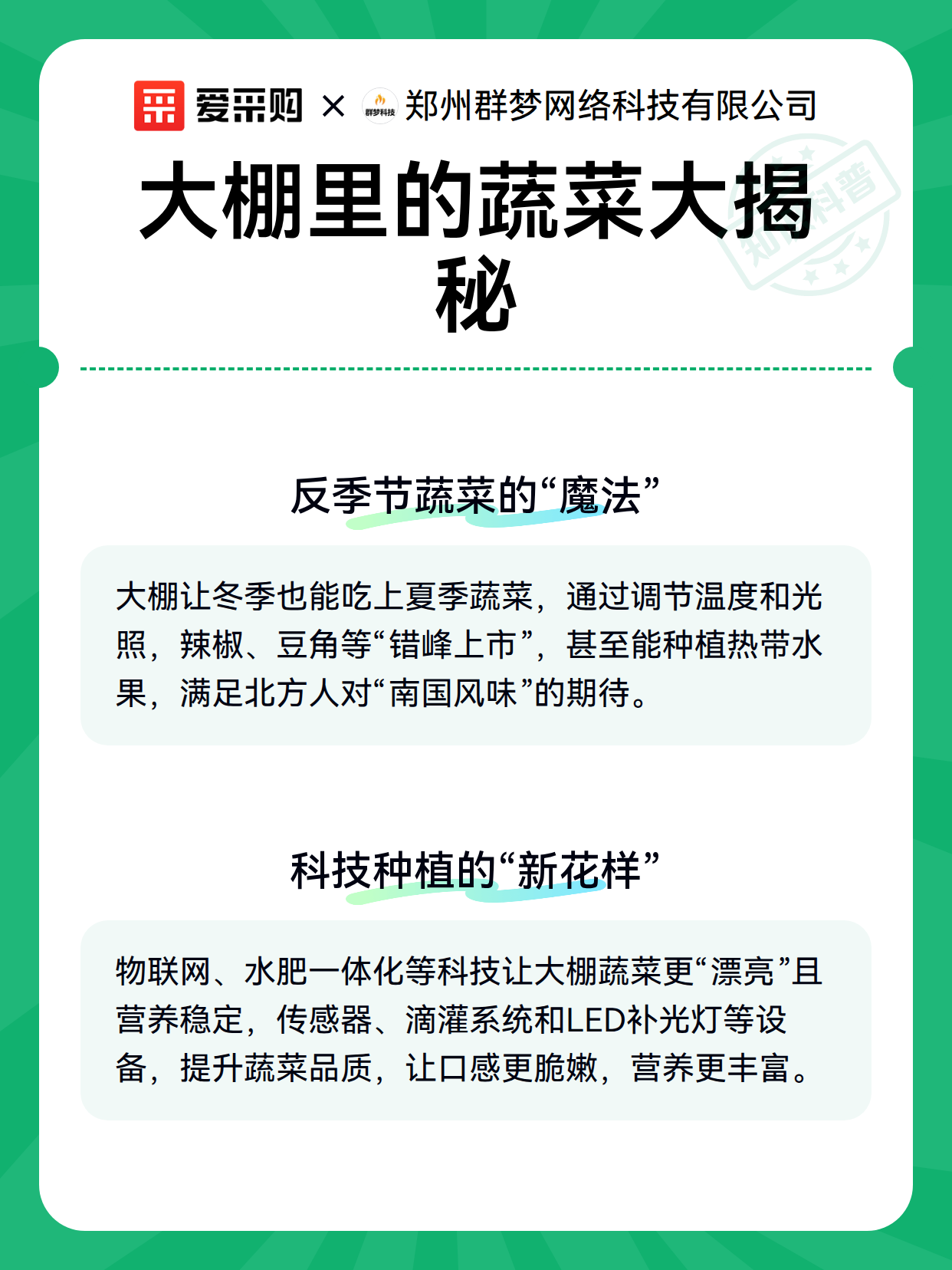 大棚里的蔬菜大揭秘（图3）
