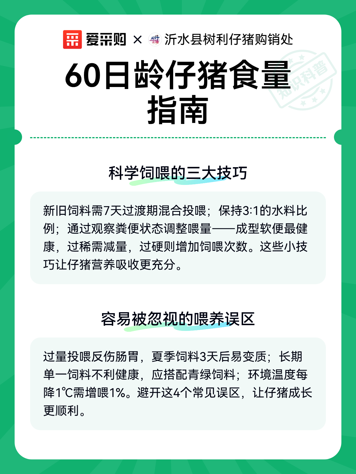 60日龄仔猪食量指南（图2）