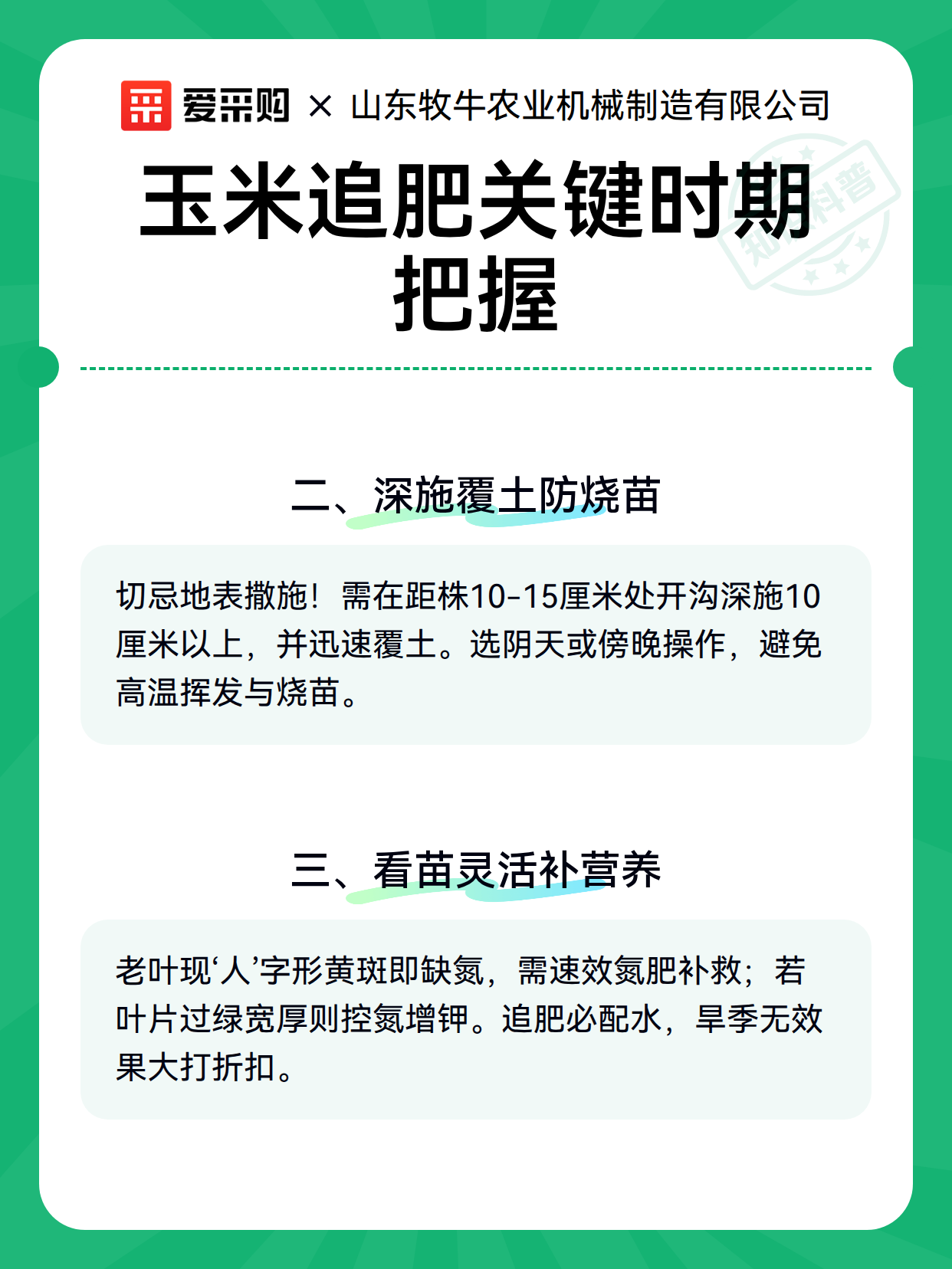 玉米追肥关键时期把握（图3）