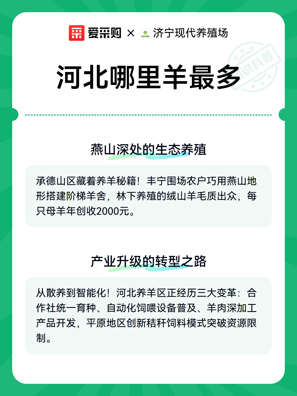 河北哪里羊最多（图2）