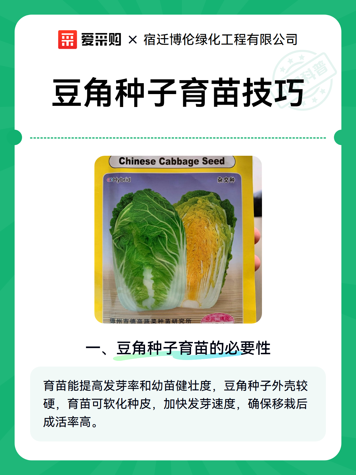 豆角种子育苗技巧（图1）