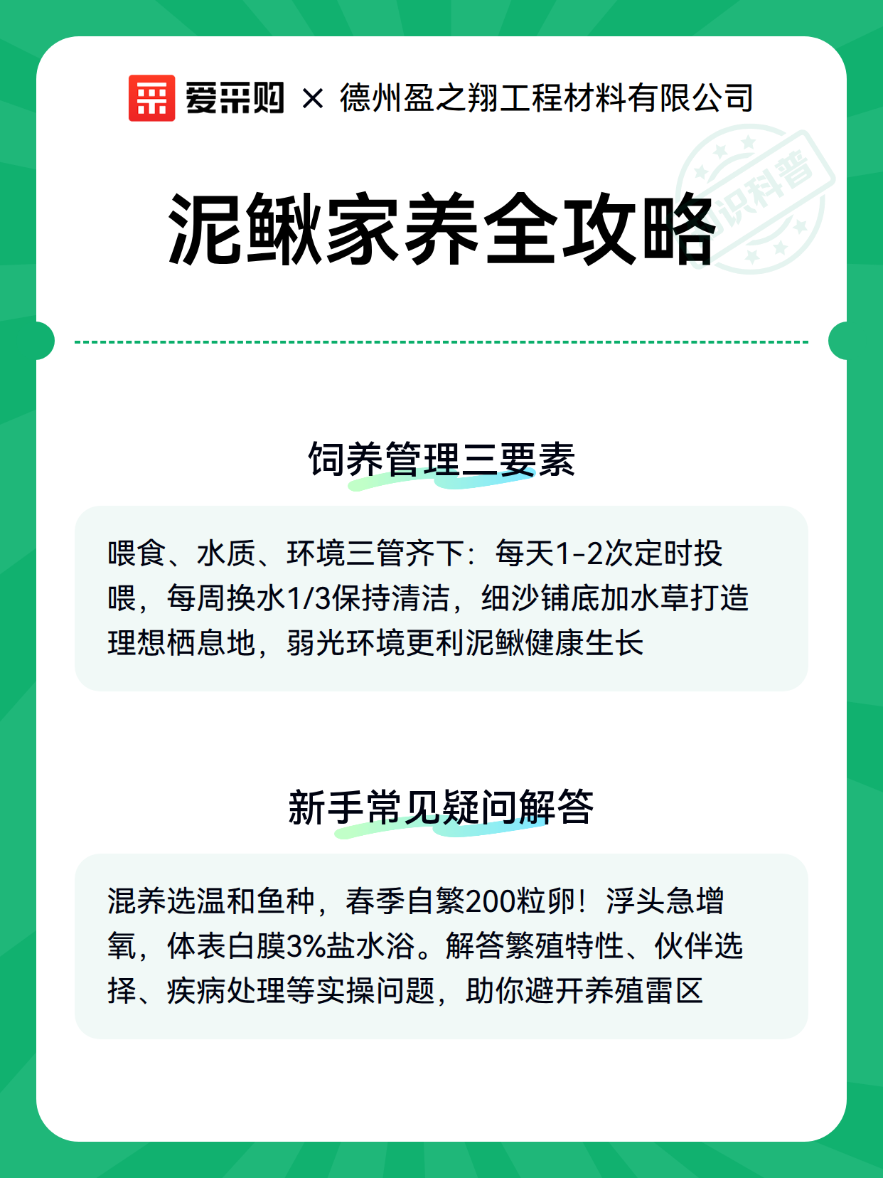 泥鳅家养全攻略（图3）