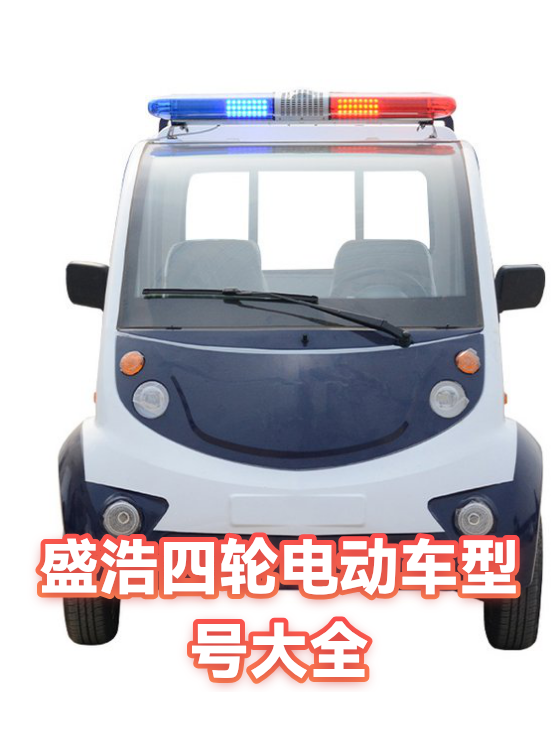 盛浩四轮电动车型号大全（图1）