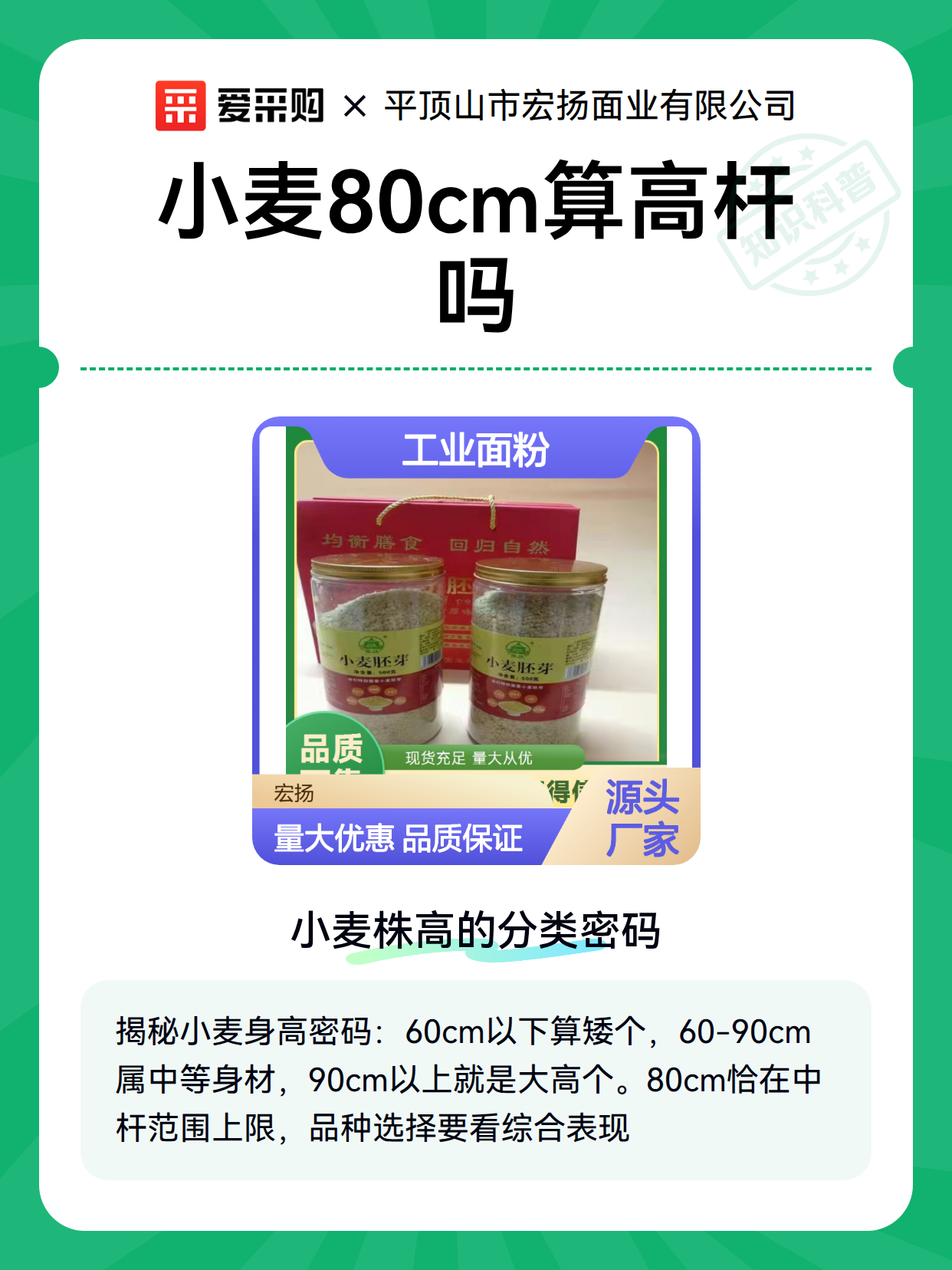 小麦80cm算高杆吗（图1）