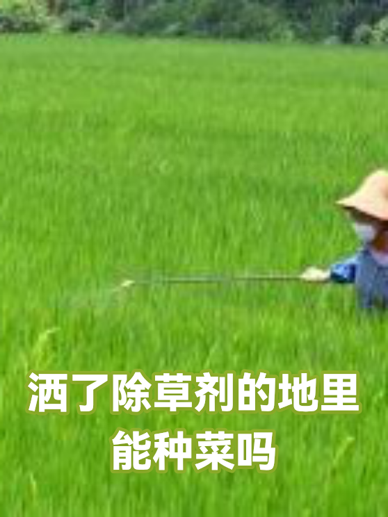 洒了除草剂的地里能种菜吗（图1）