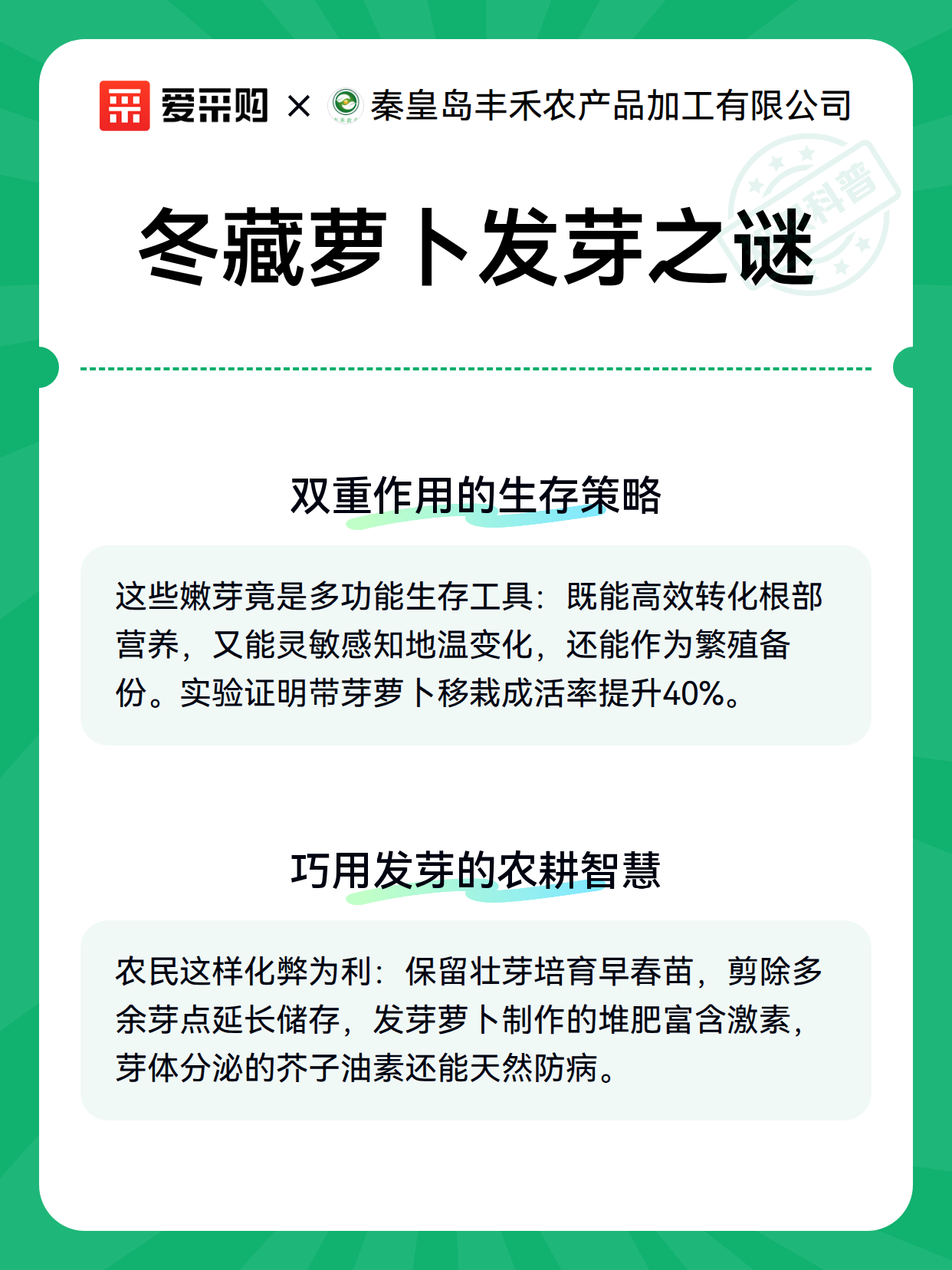 冬藏萝卜发芽之谜（图3）