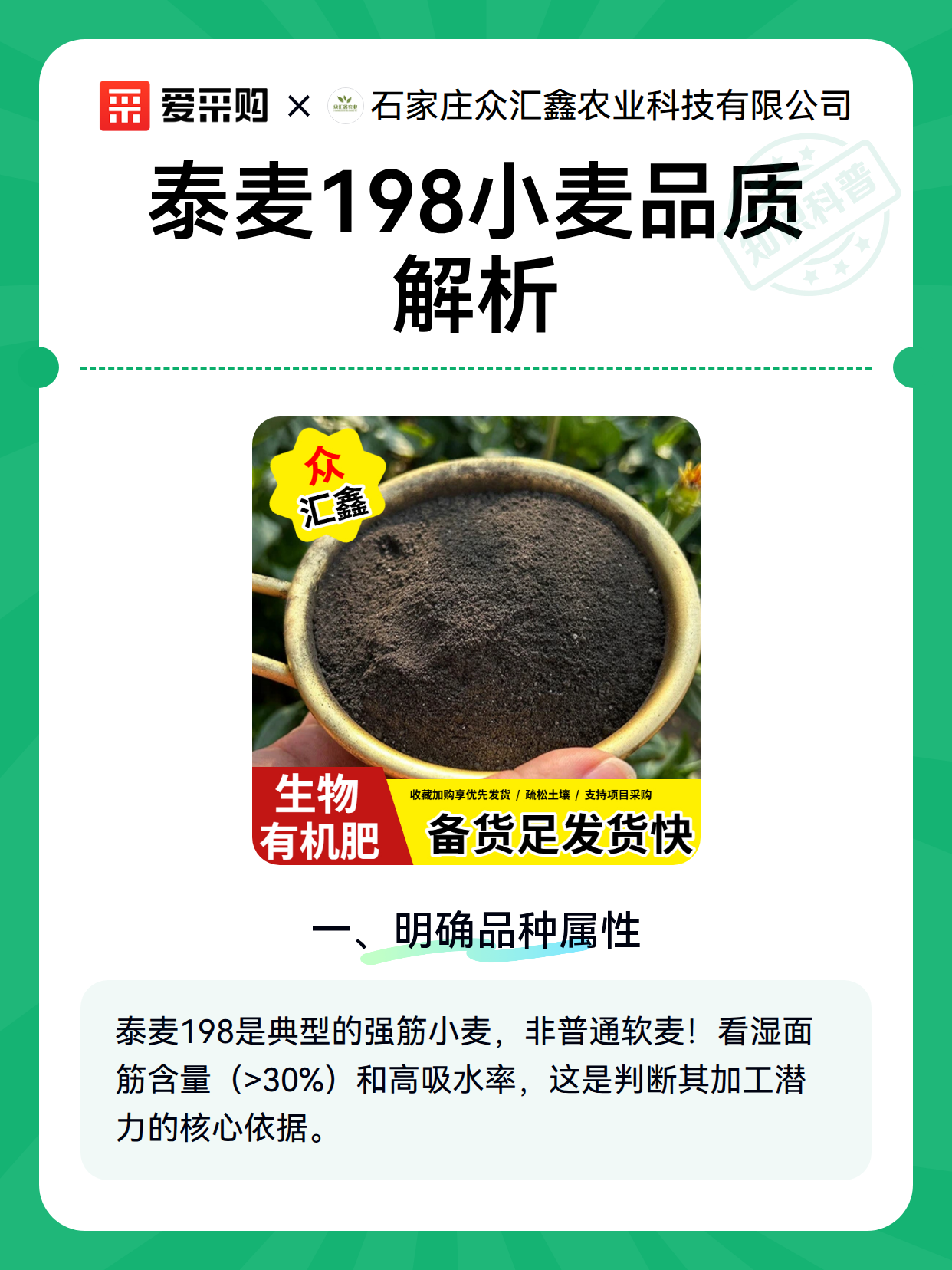 泰麦198小麦品质解析（图1）