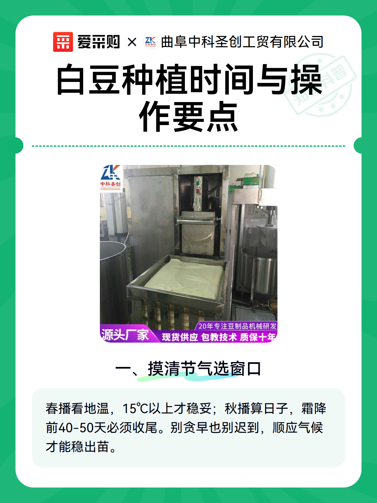 白豆种植时间与操作要点（图1）