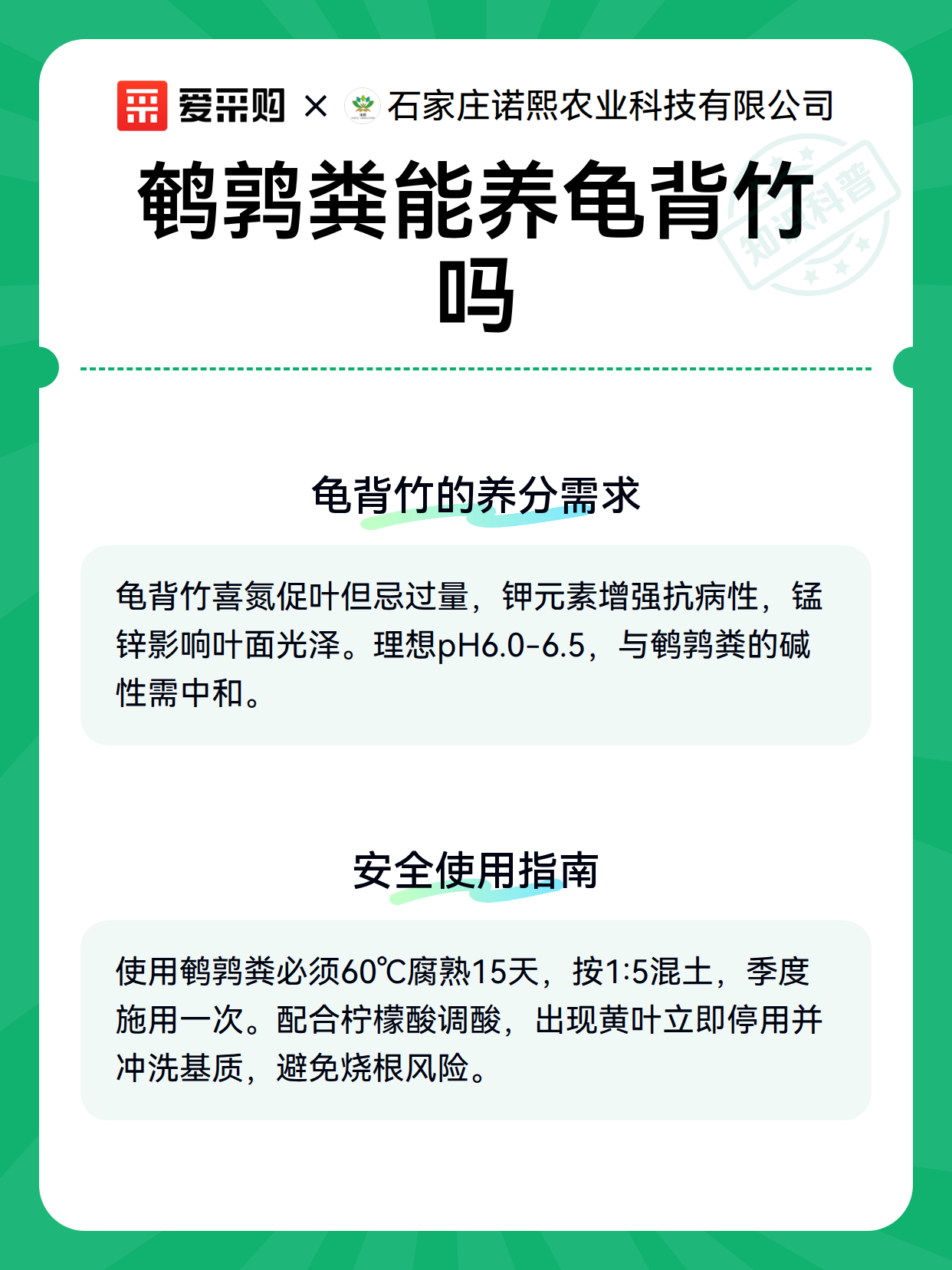 鹌鹑粪能养龟背竹吗（图3）