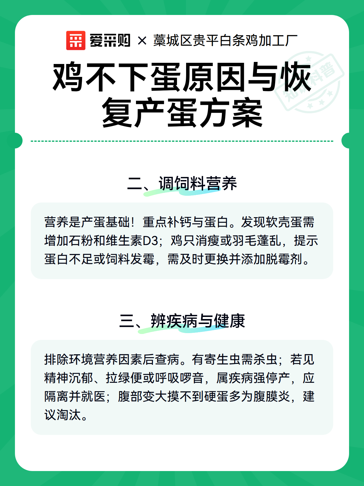 鸡不下蛋原因与恢复产蛋方案（图2）