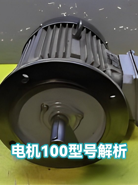 电机100型号解析（图1）