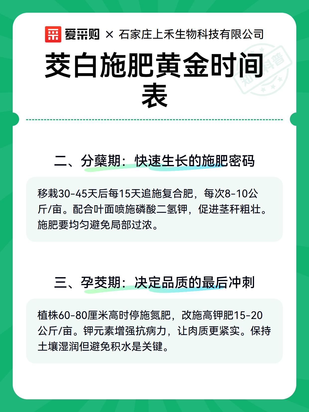 茭白施肥黄金时间表（图2）
