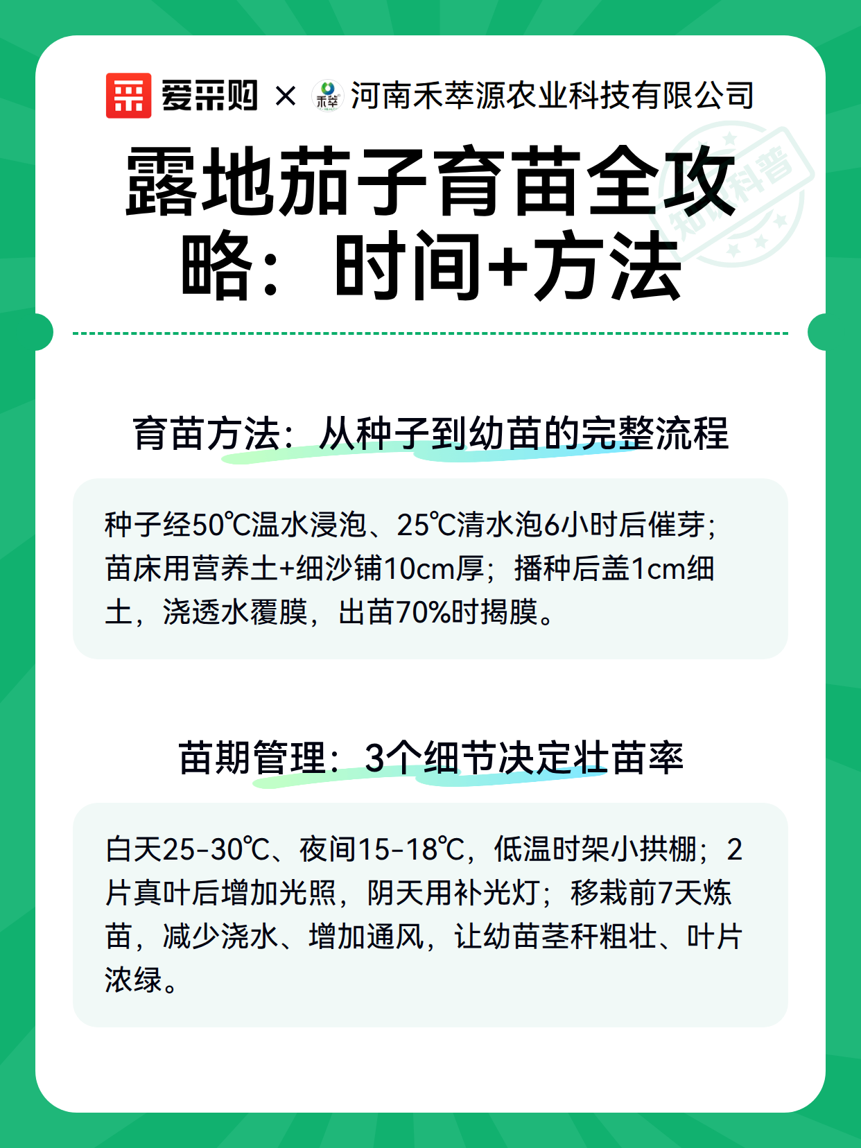 露地茄子育苗全攻略：时间+方法（图2）