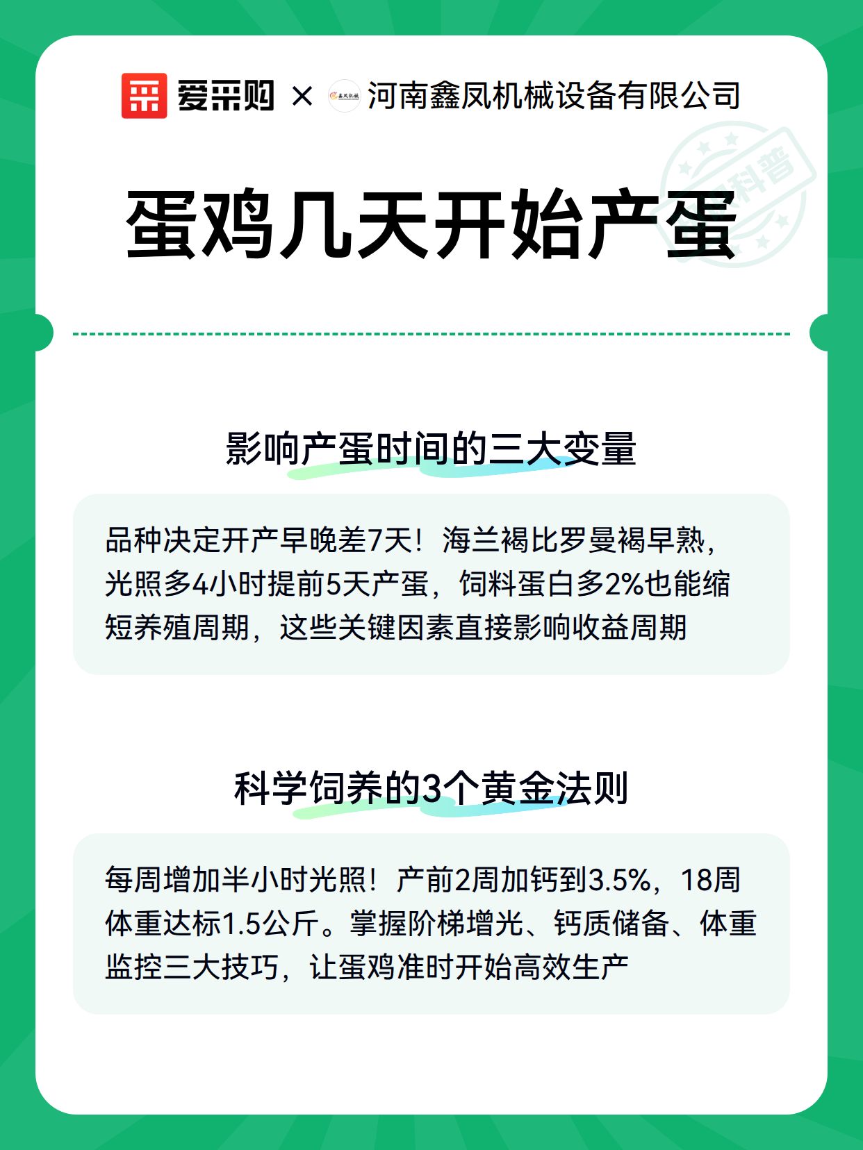 蛋鸡几天开始产蛋（图2）