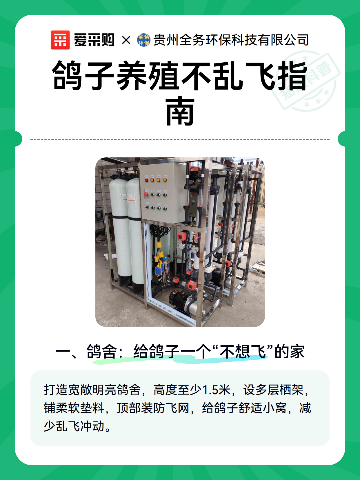 鸽子养殖不乱飞指南（图2）