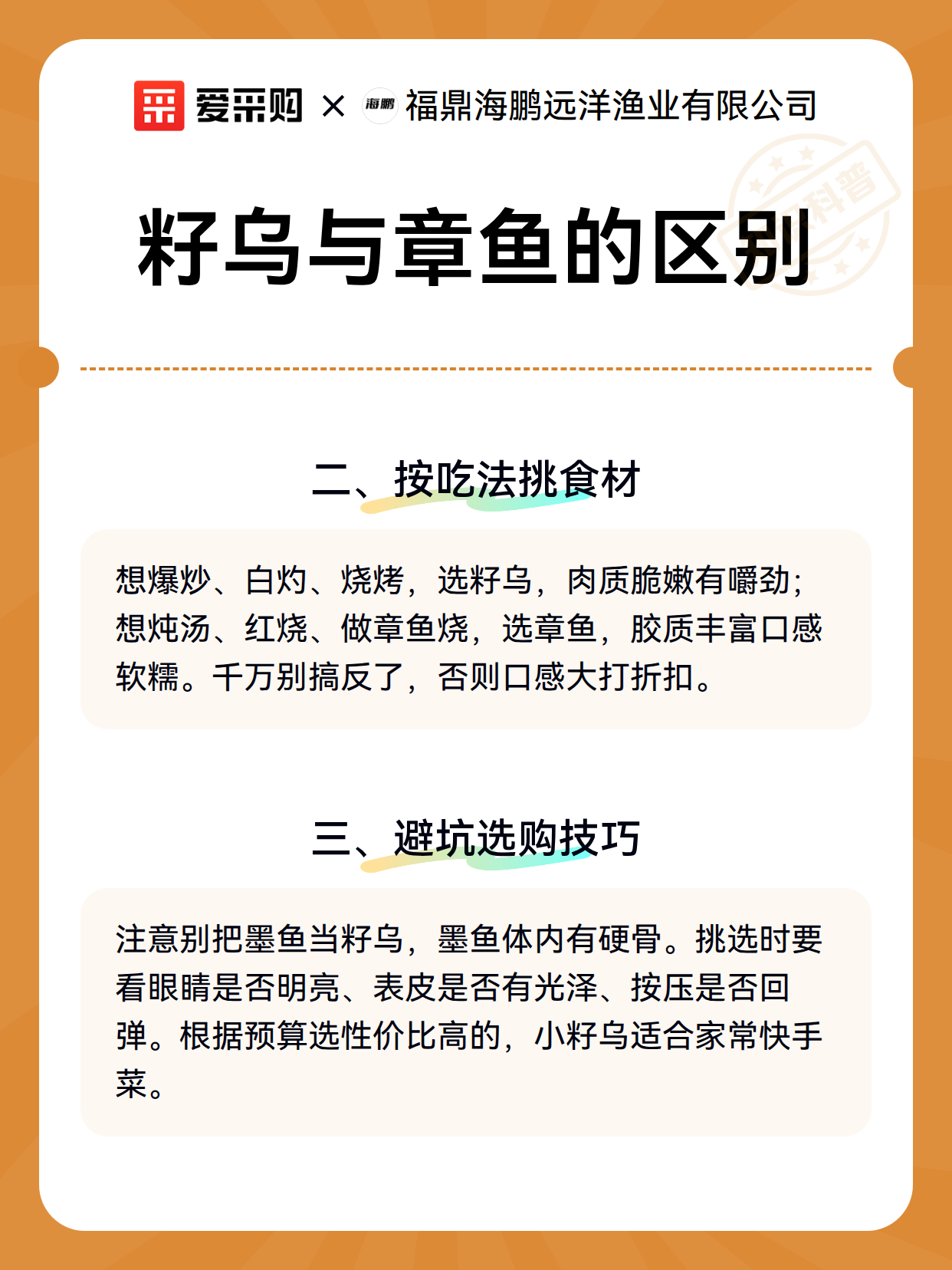 籽乌与章鱼的区别（图3）