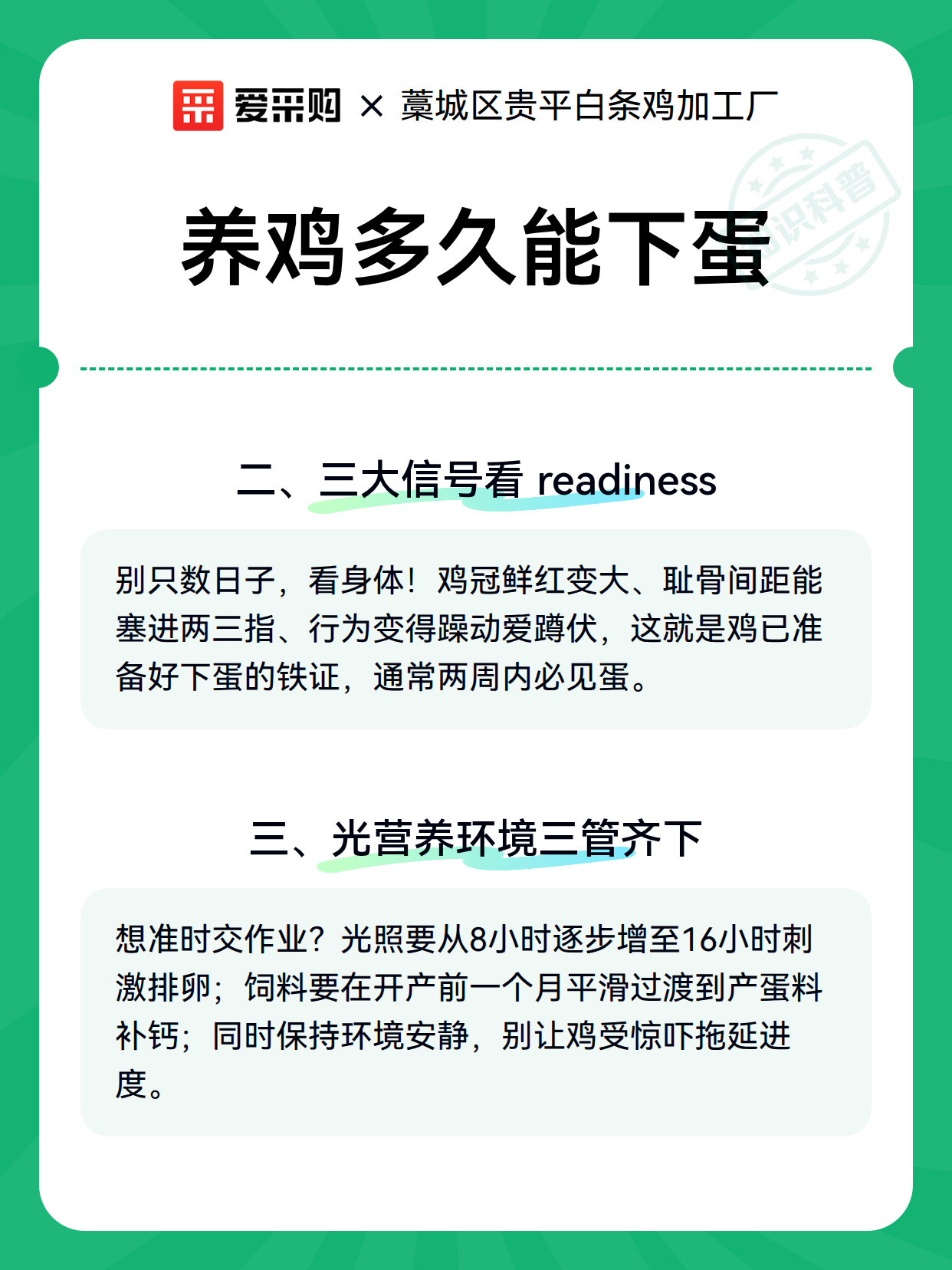 养鸡多久能下蛋（图2）