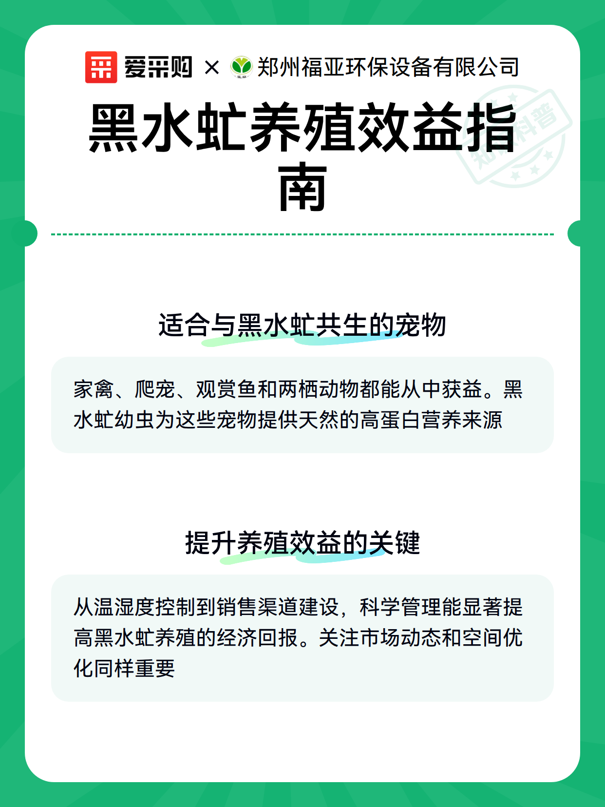 黑水虻养殖效益指南（图2）