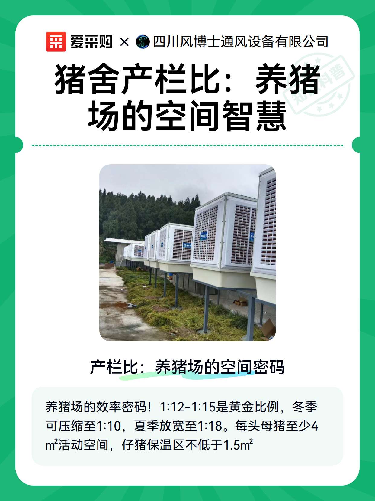 猪舍产栏比：养猪场的空间智慧（图1）