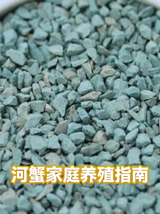 河蟹家庭养殖指南（图1）