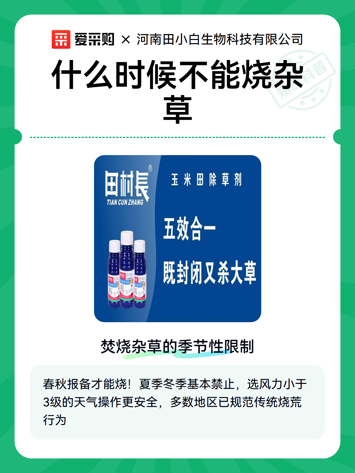 什么时候不能烧杂草（图1）