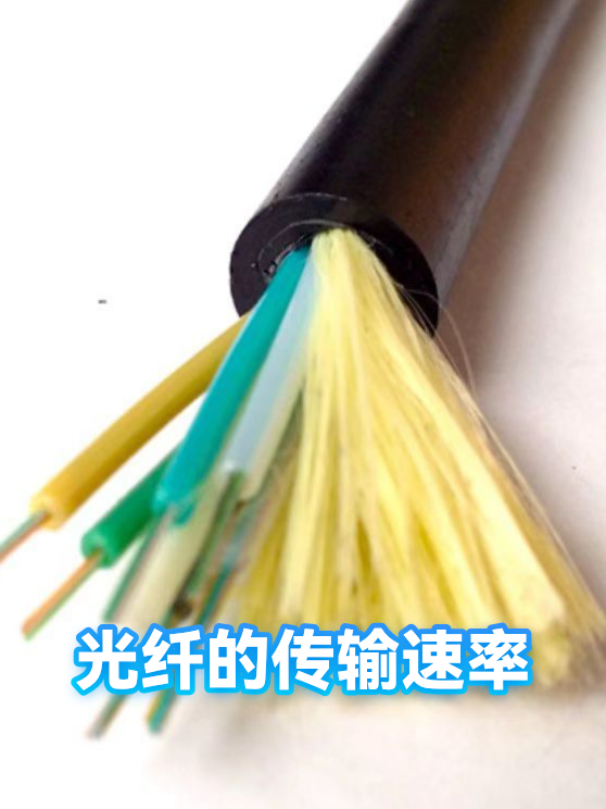 光纤的传输速率（图1）
