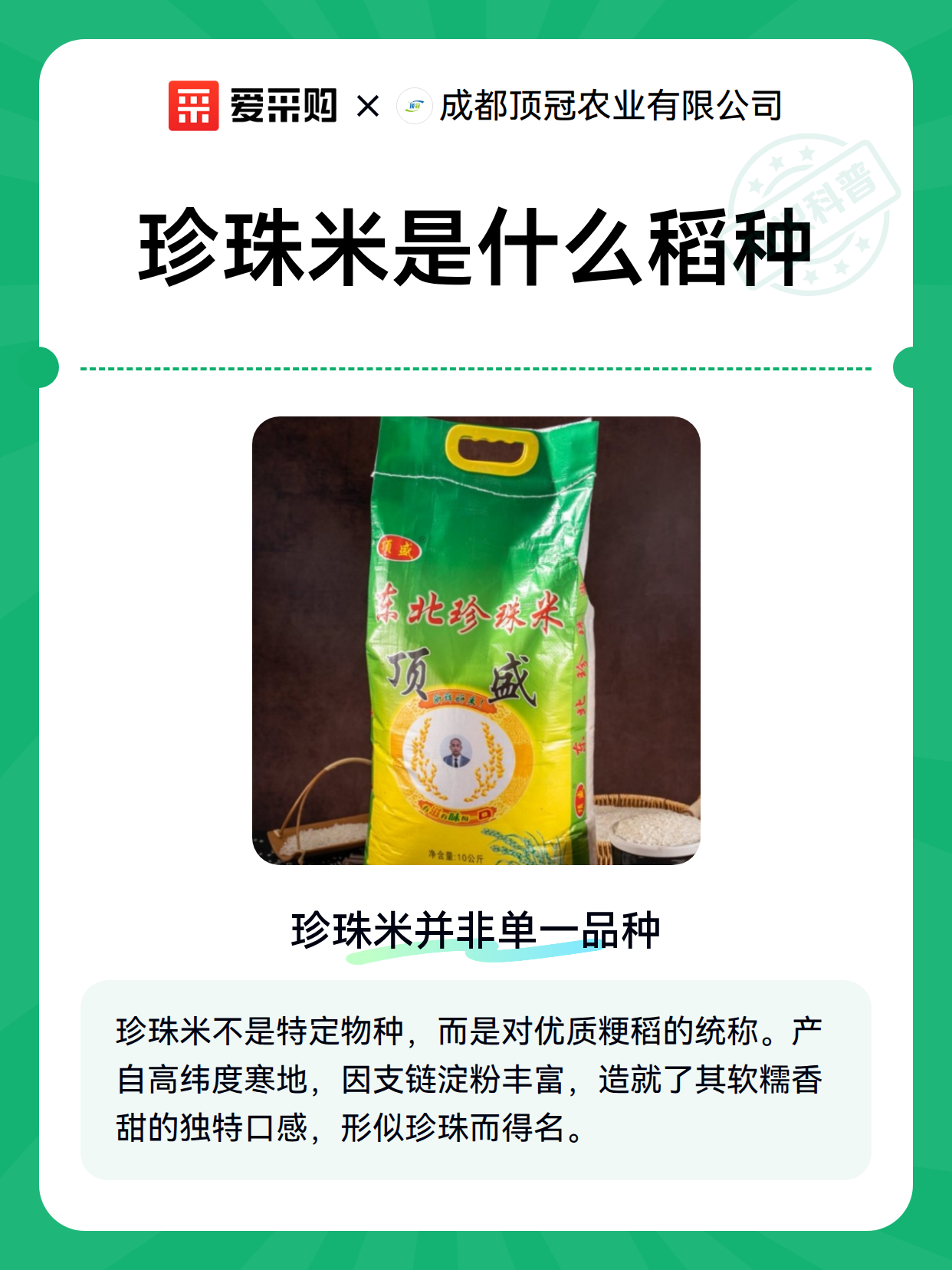 珍珠米是什么稻种（图2）