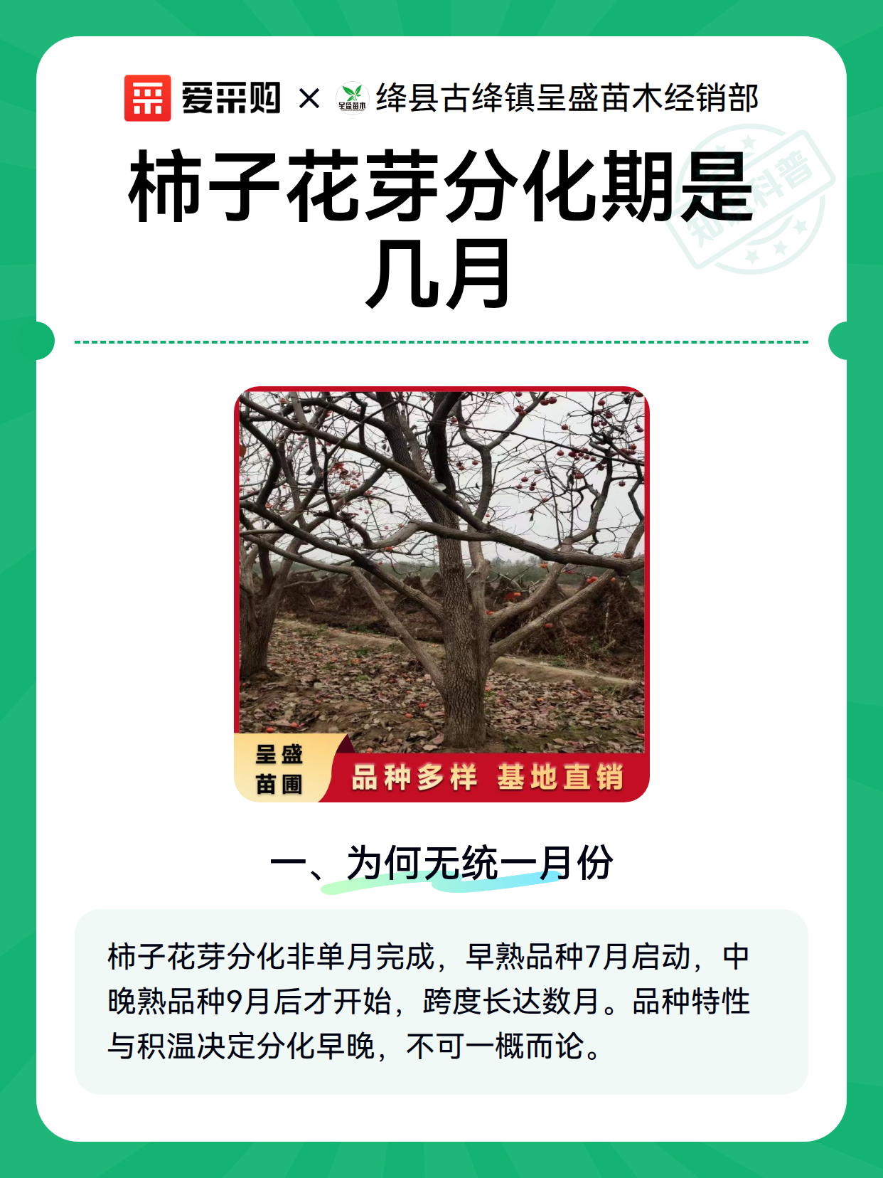 柿子花芽分化期是几月（图2）