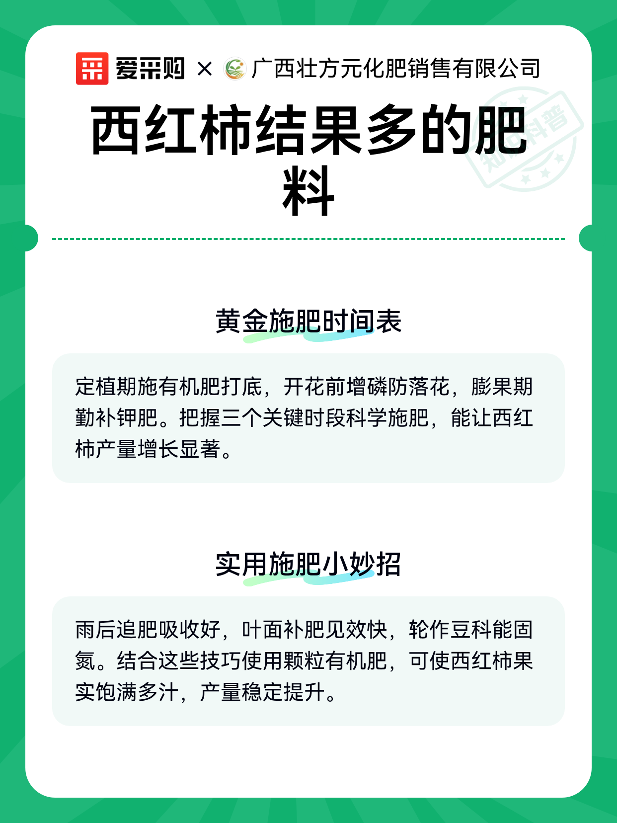西红柿结果多的肥料（图2）