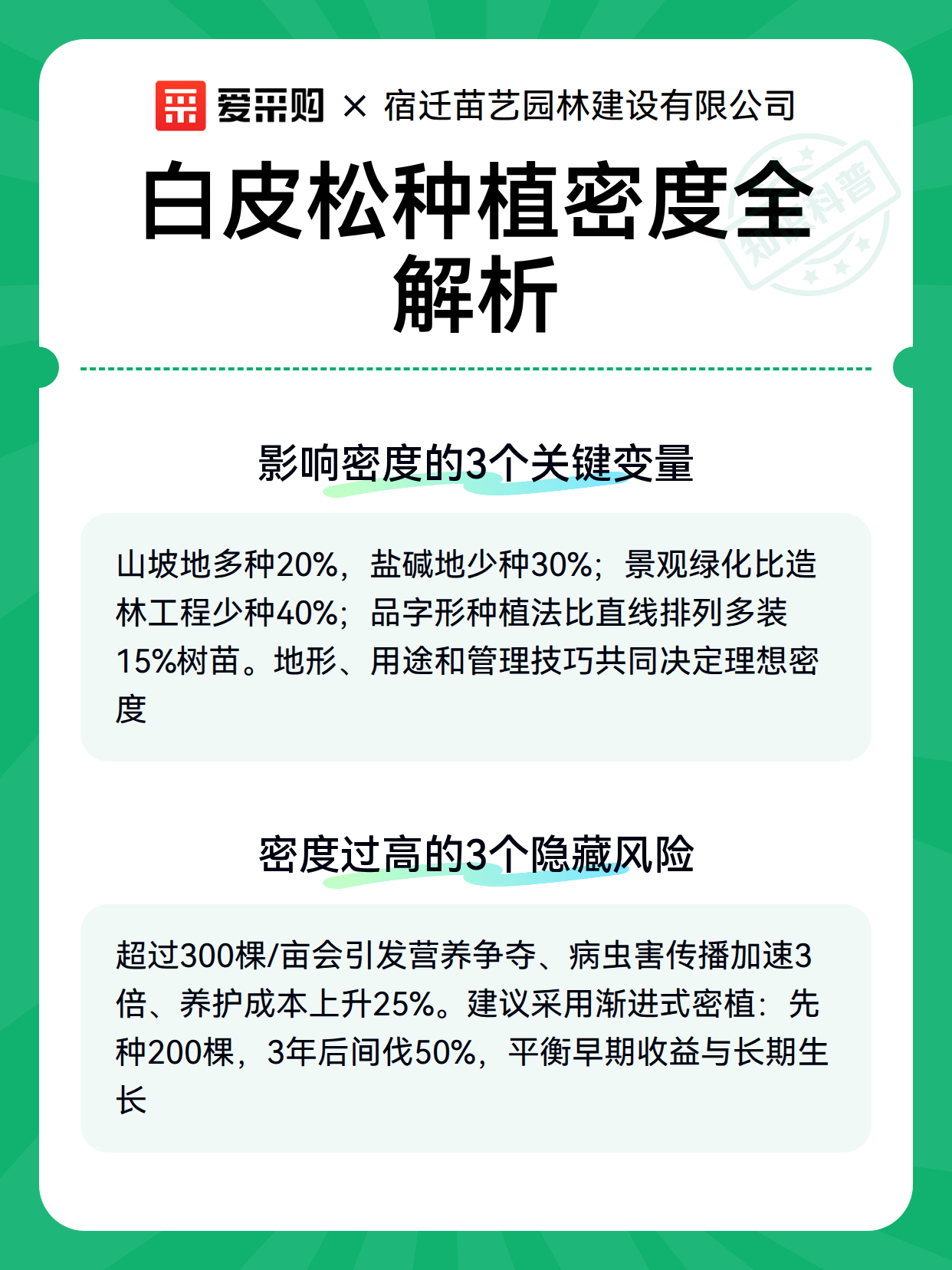 白皮松种植密度全解析（图3）