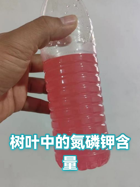 树叶中的氮磷钾含量（图1）