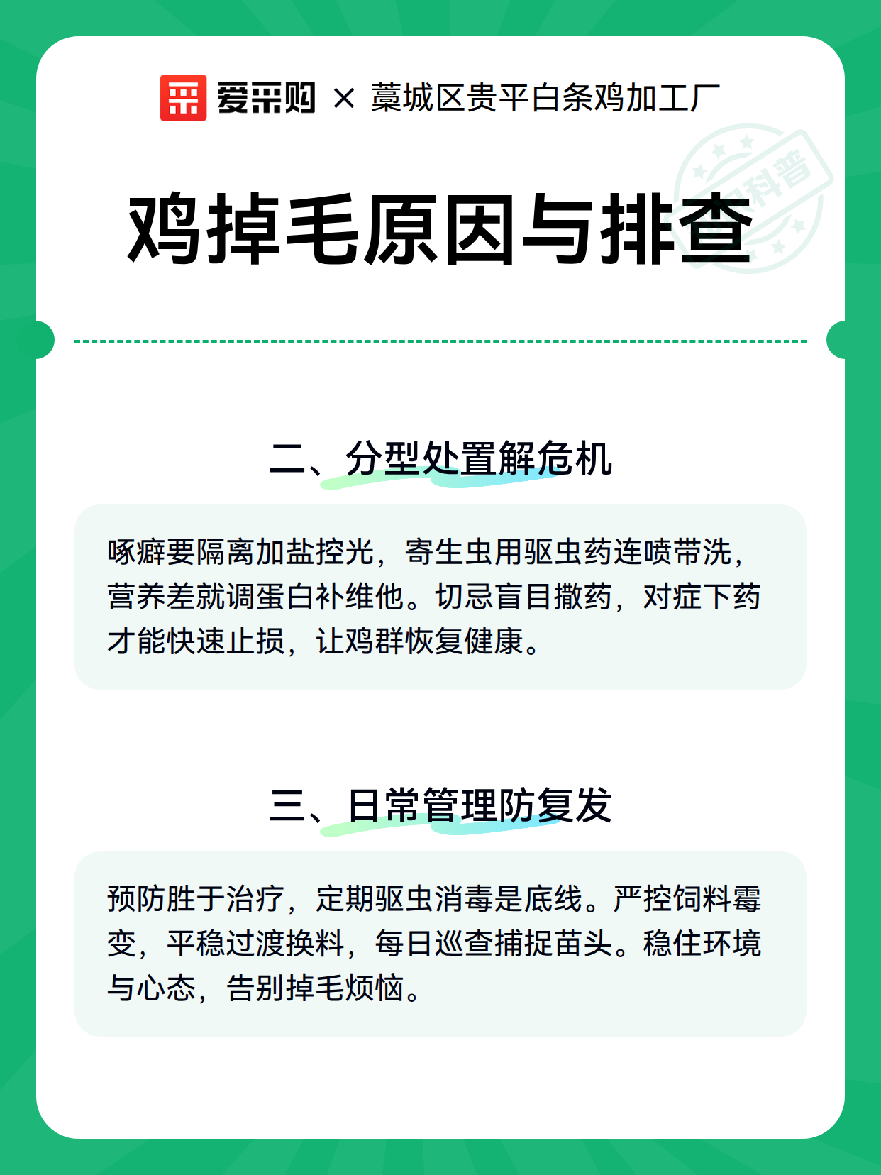 鸡掉毛原因与排查（图2）