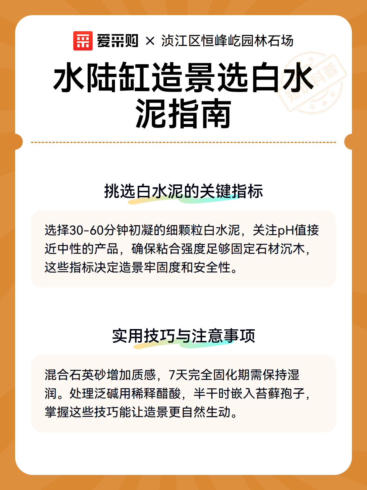 水陆缸造景选白水泥指南（图3）