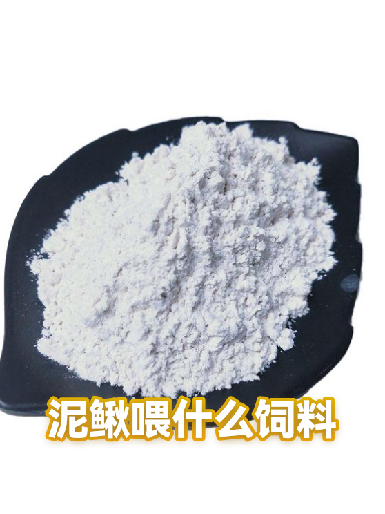 泥鳅喂什么饲料（图1）