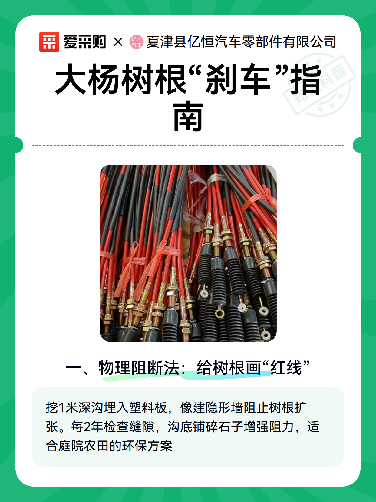 大杨树根“刹车”指南（图1）