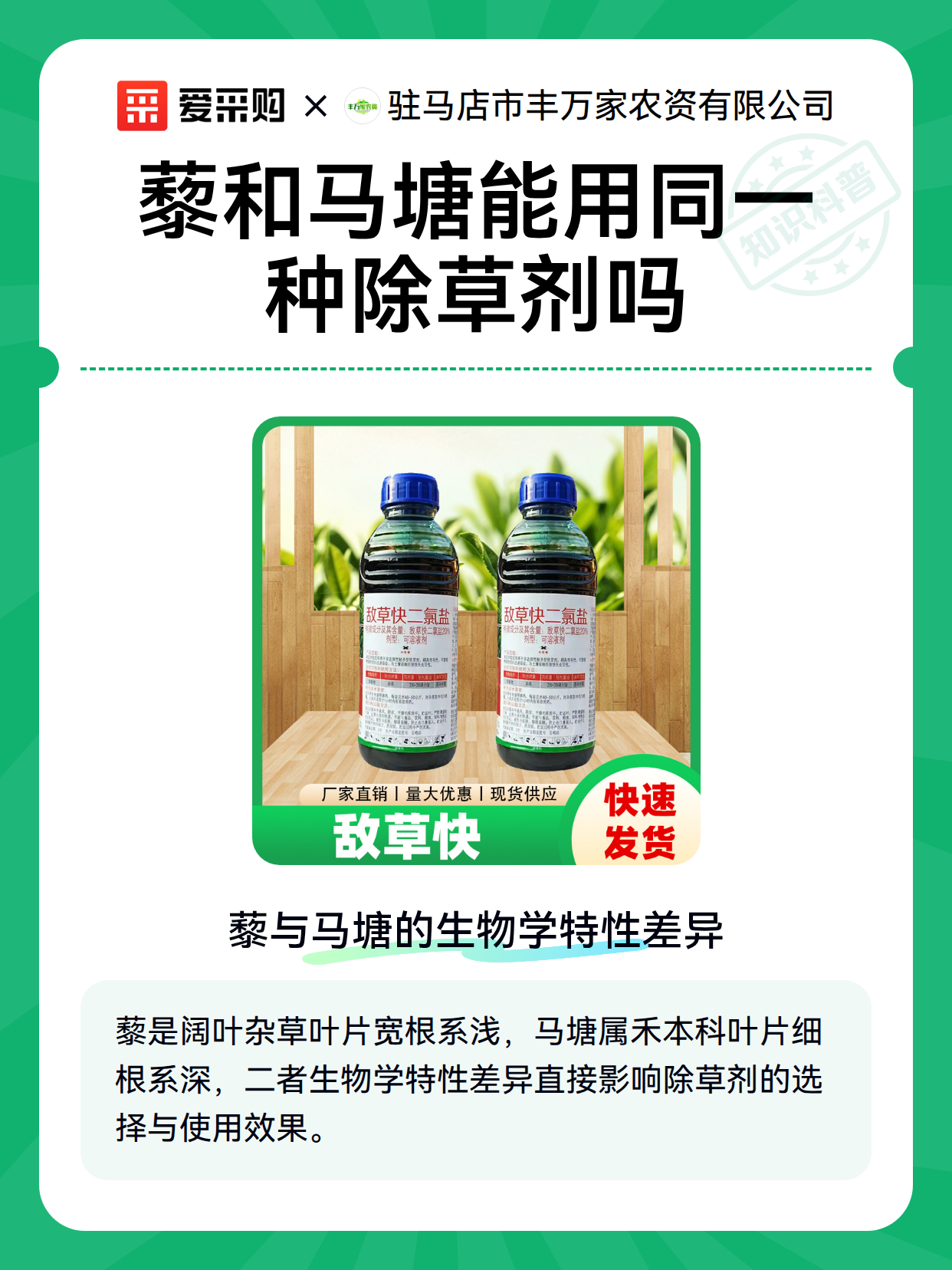 藜和马塘能用同一种除草剂吗（图2）