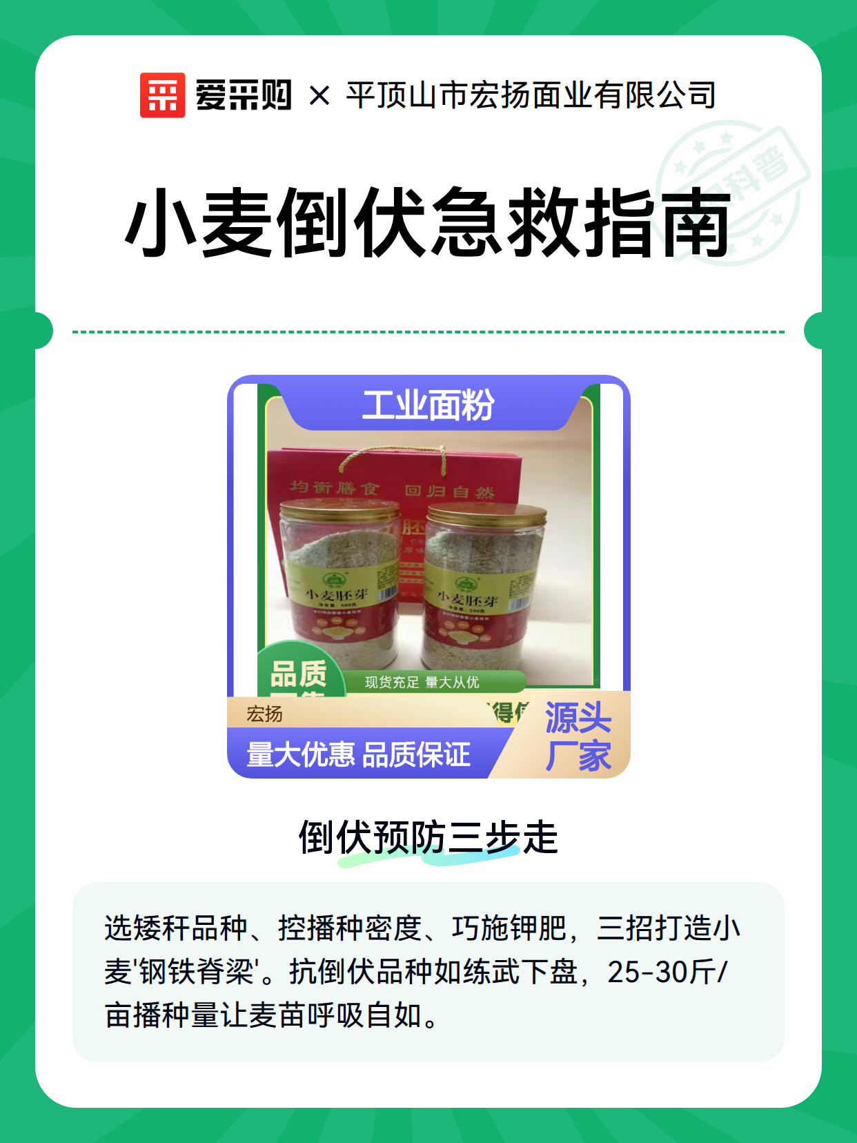 小麦倒伏急救指南（图1）