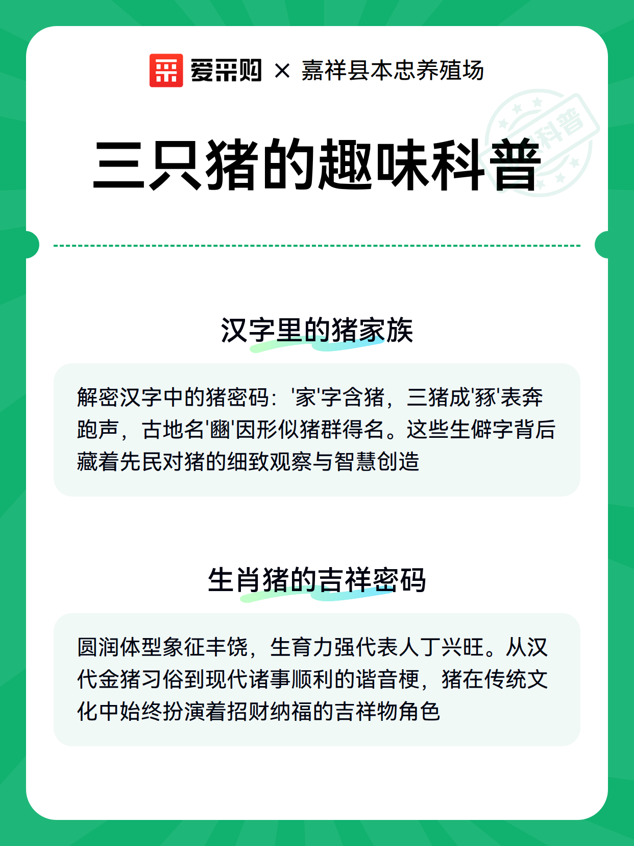 三只猪的趣味科普（图2）