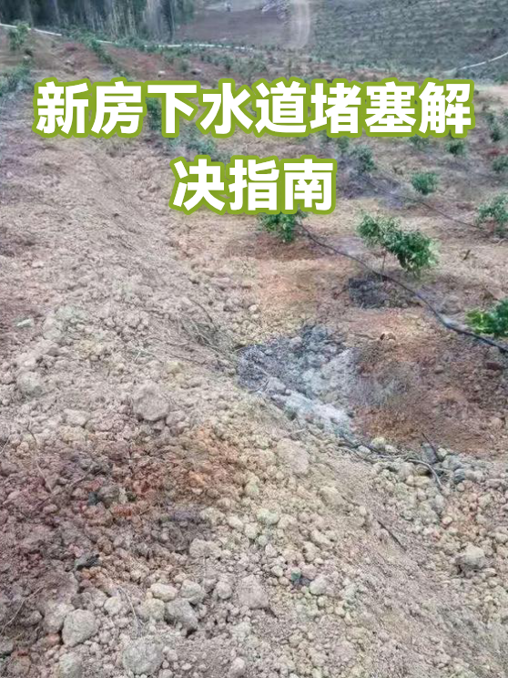 新房下水道堵塞解决指南（图1）