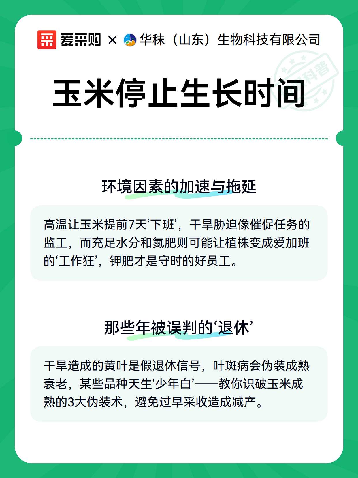 玉米停止生长时间（图3）
