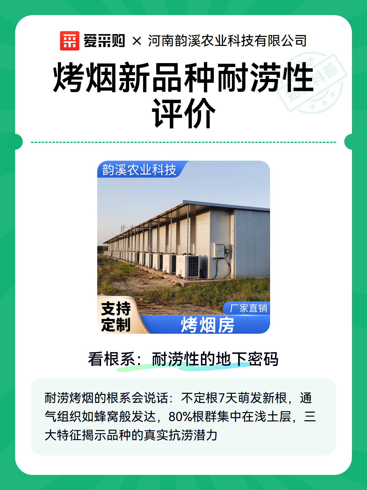 烤烟新品种耐涝性评价（图1）