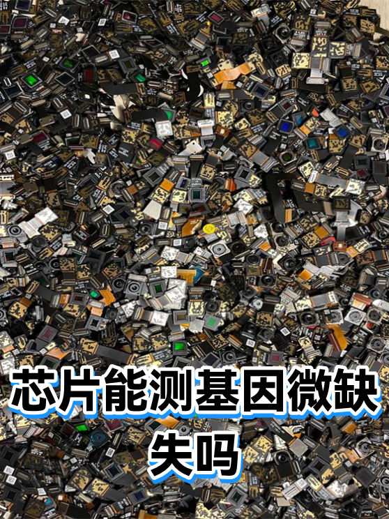 芯片能测基因微缺失吗（图1）