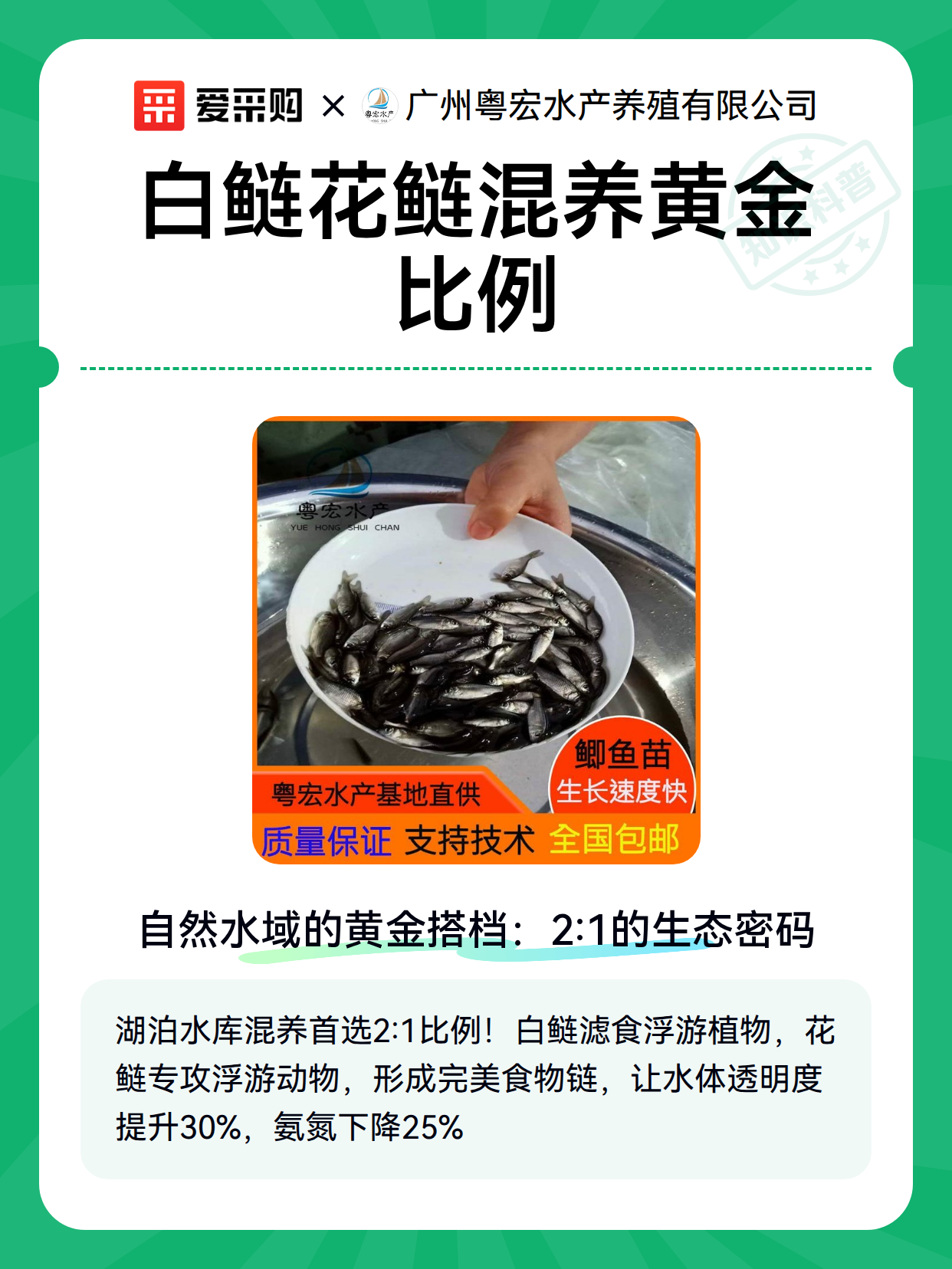 白鲢花鲢混养黄金比例（图1）