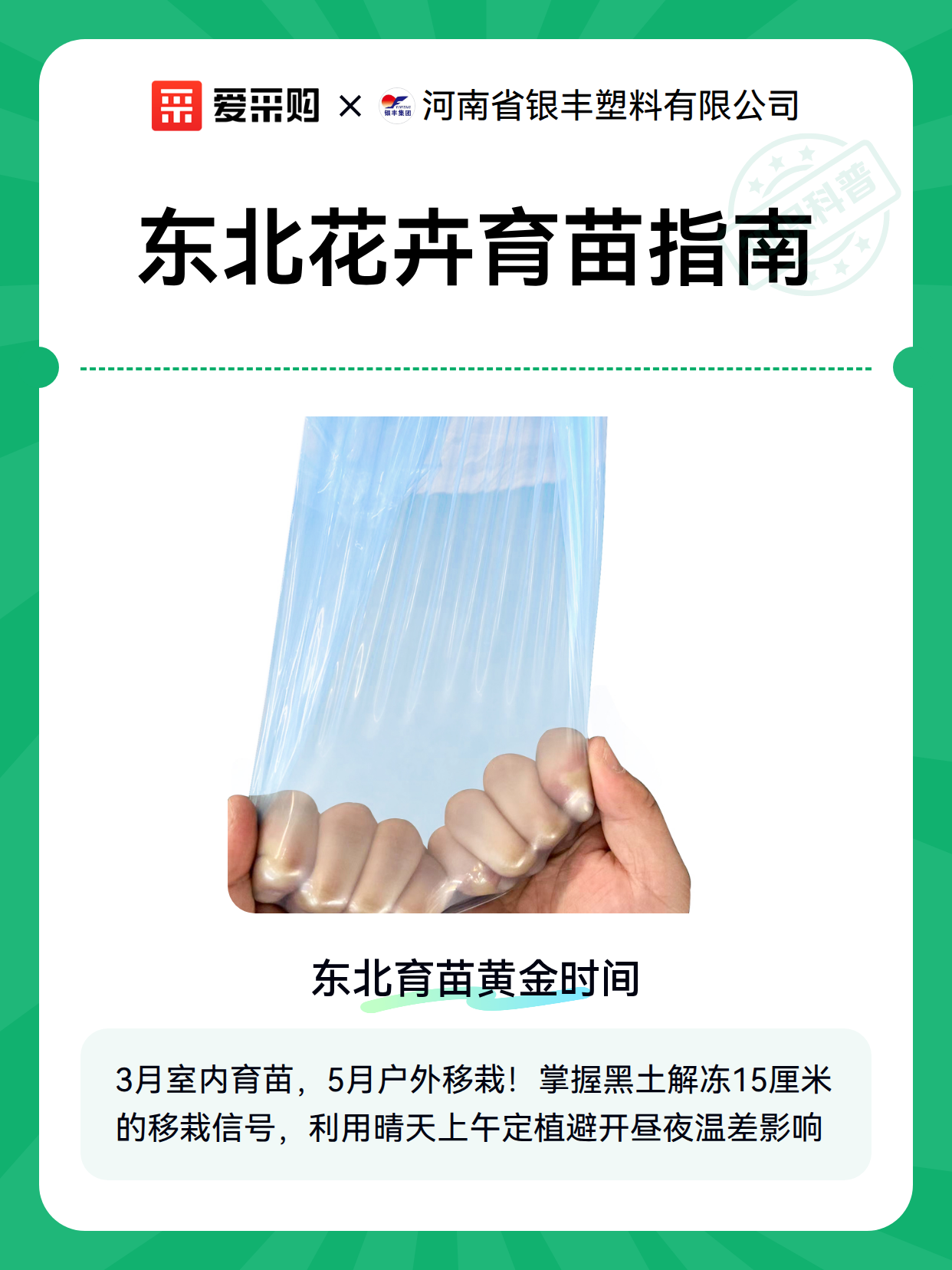 东北花卉育苗指南（图2）