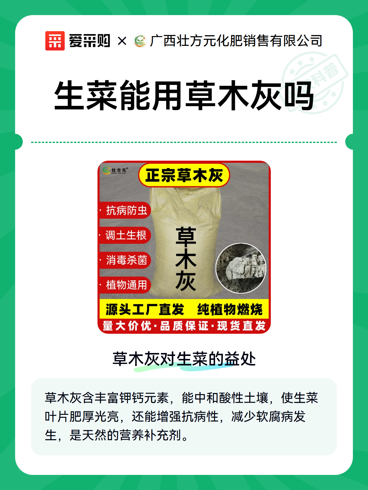 生菜能用草木灰吗（图2）