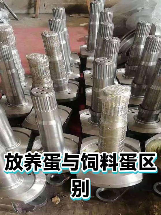 放养蛋与饲料蛋区别（图1）