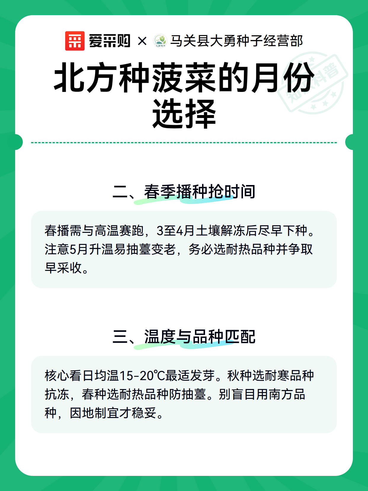 北方种菠菜的月份选择（图2）
