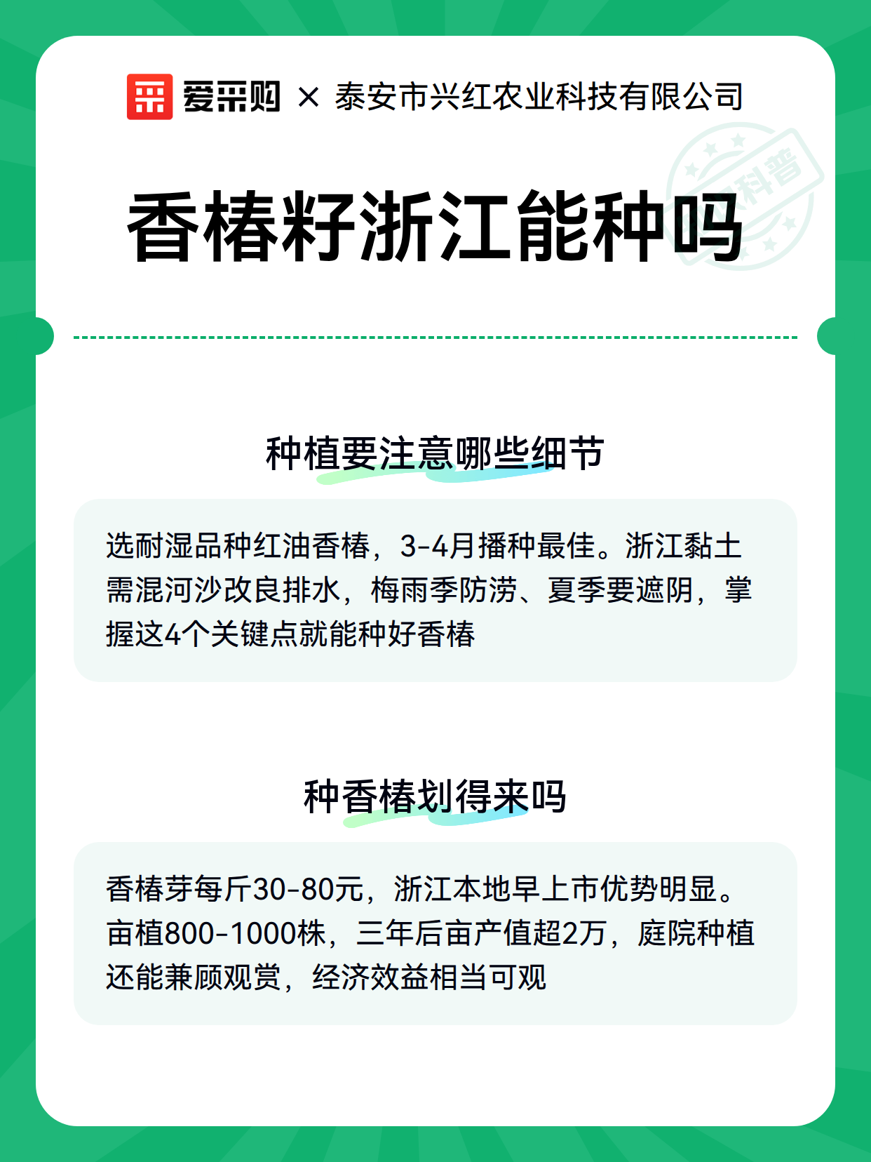 香椿籽浙江能种吗（图2）