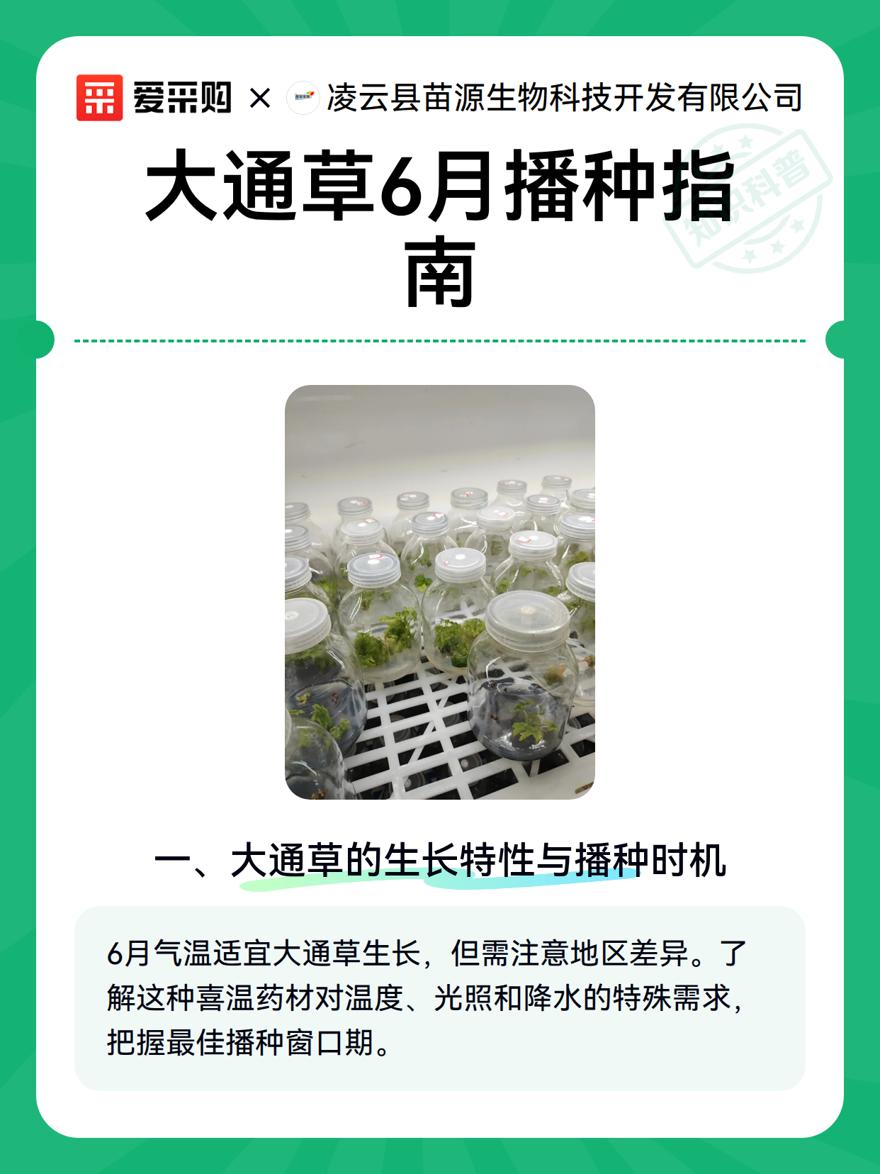 大通草6月播种指南（图2）