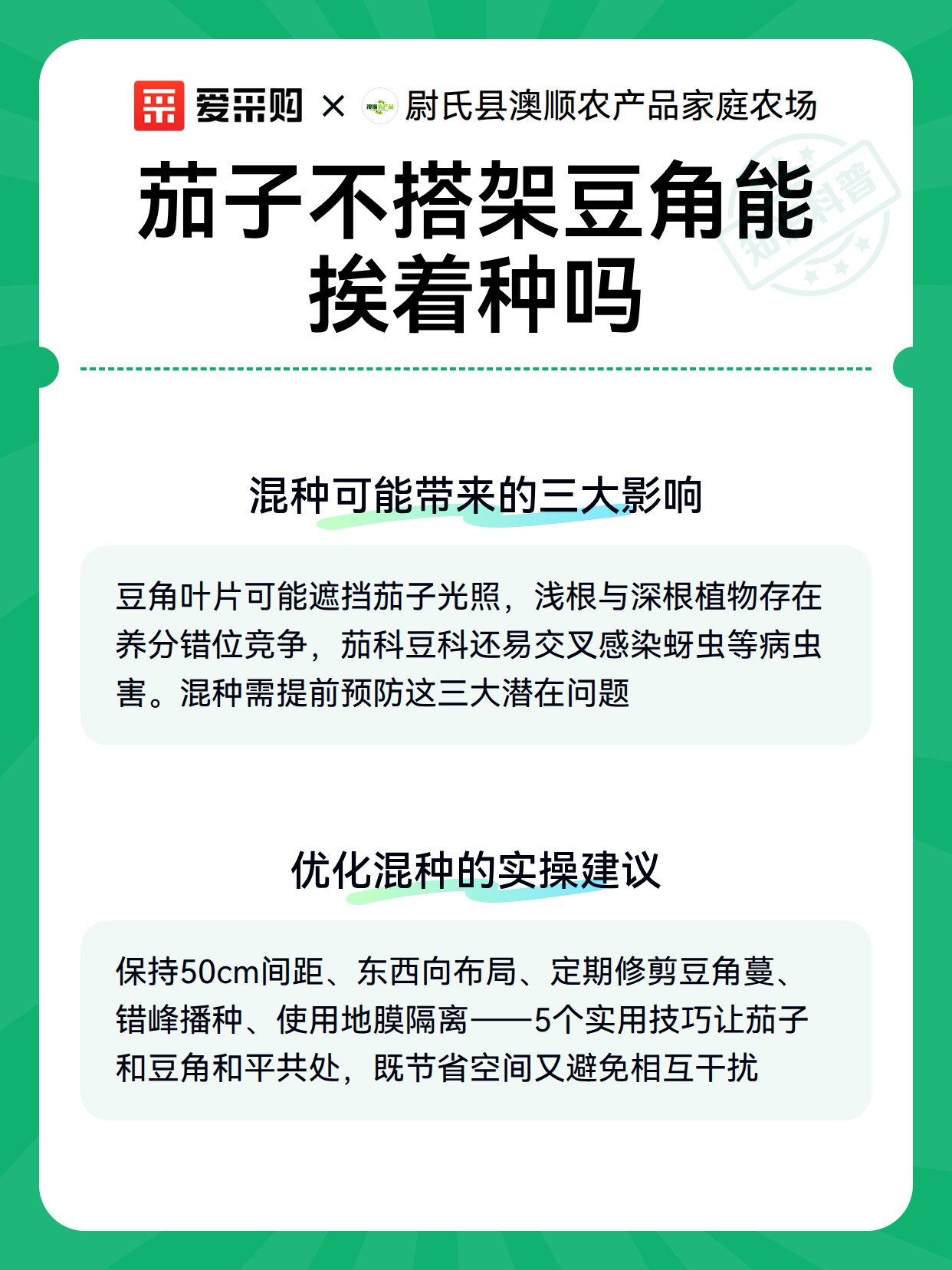 茄子不搭架豆角能挨着种吗（图3）